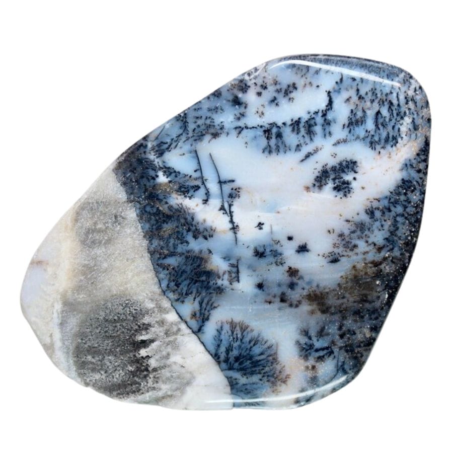 polished dendritic agate with a white base and black dendrites