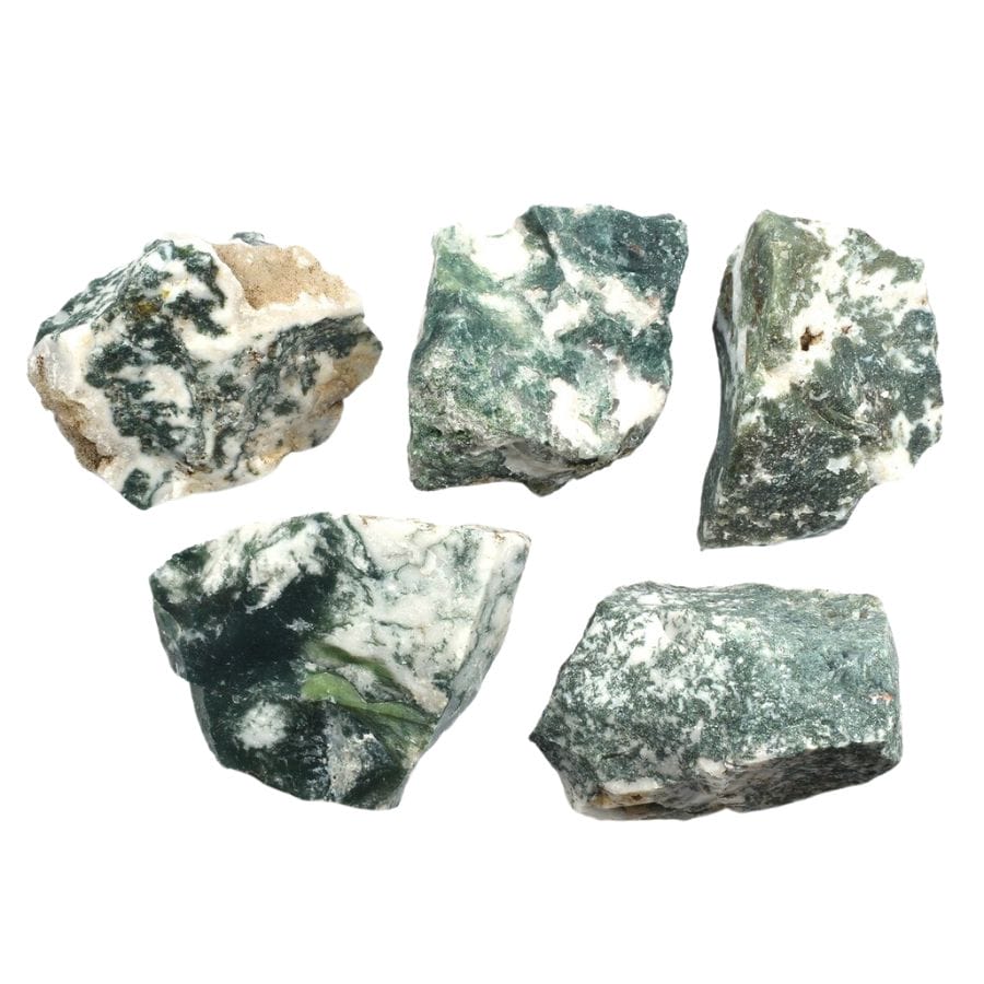 five rough dendritic agate pieces with an opaque white base and green dendrites