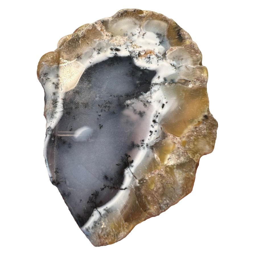 rough dendritic opal with a gray base and a brown rock crust