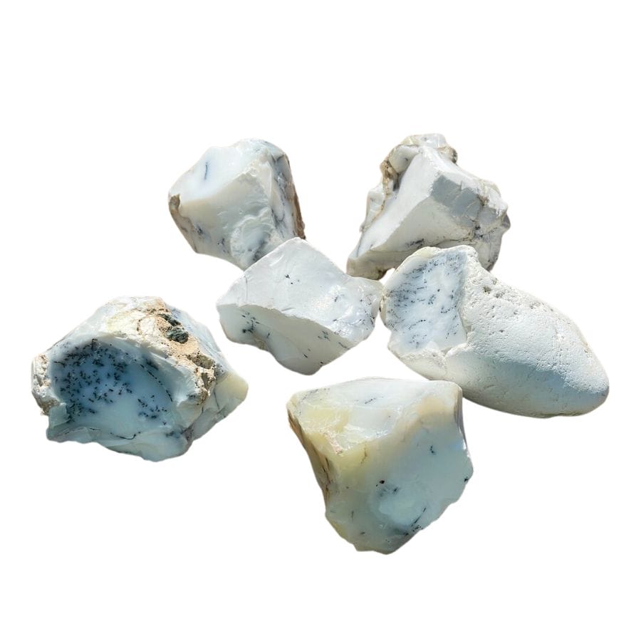 five rough opal pieces with a white base and dark colored dendrites