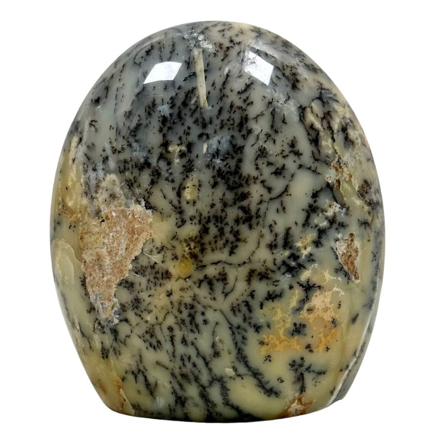 dendritic opal freeform with a yellow base and black dendrites
