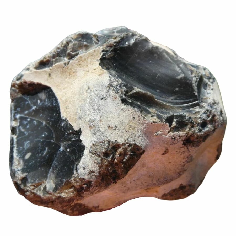 flint nodule with white cortex and black core