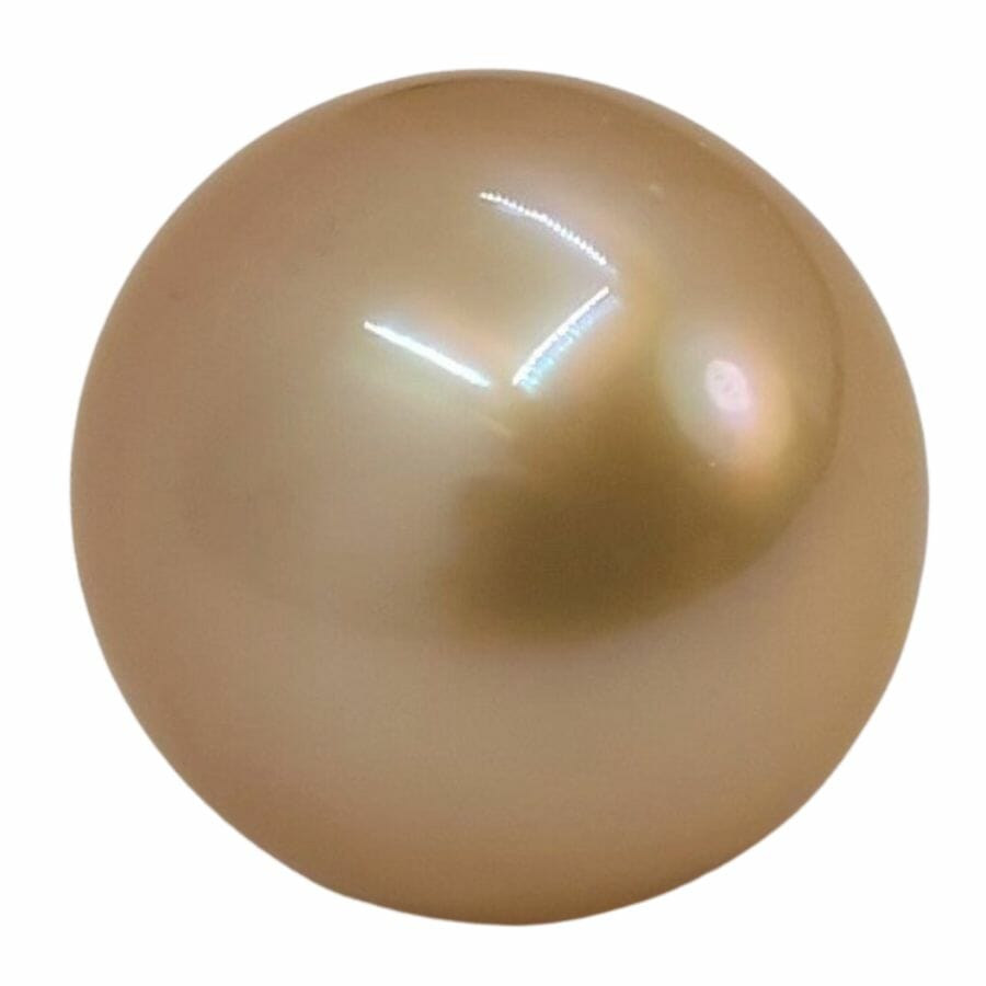 perfectly round dark gold South Sea pearl