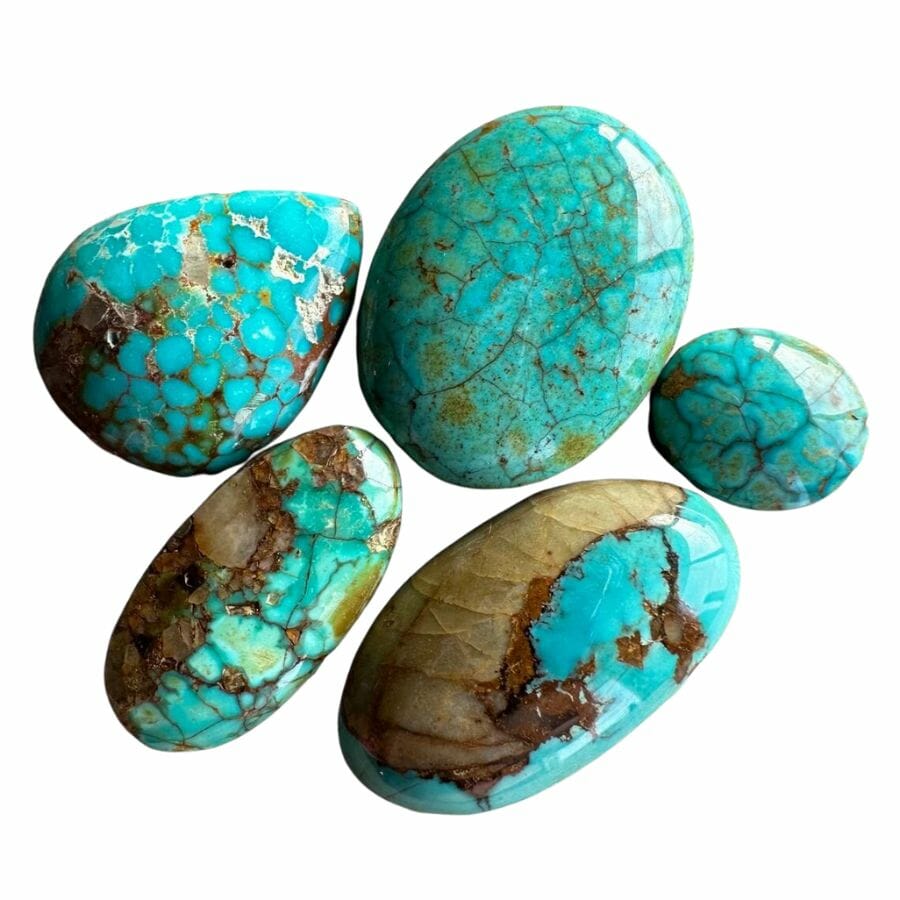 five polished turquoise stones ranging from sky blue to green-blue in color