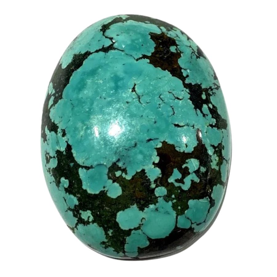 blue-green turquoise cabochon with black matrix