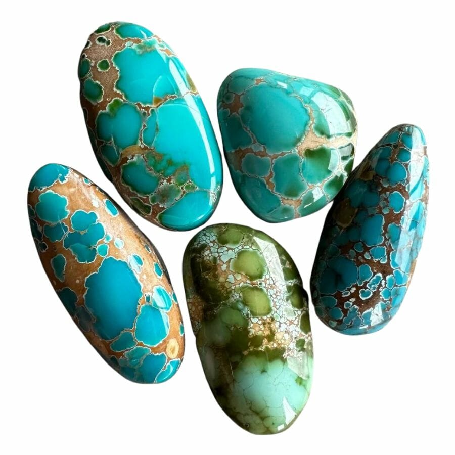 five polished turquoise ranging from sky blue to greenish, with brown matrices