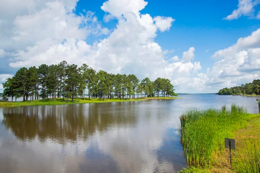 A part of Leesville showing a parcel of tree-bearding land in the middle of a body of water