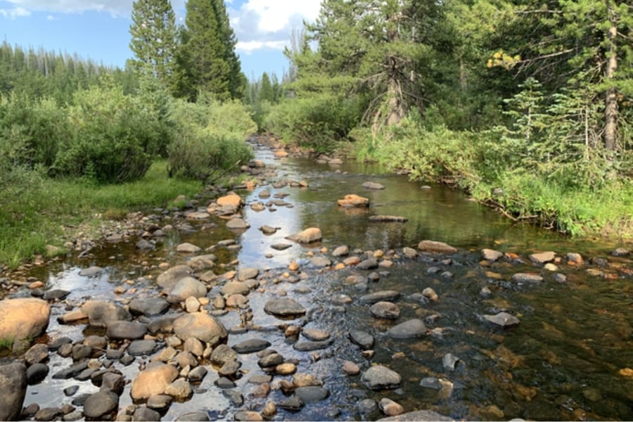 The calm waters and rocky rivers of Boden Placer Deposit