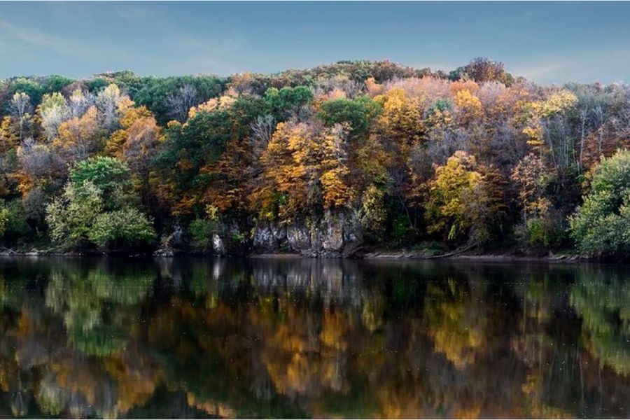 A breathtaking view of lush and vibrant trees along the serene Cedar River