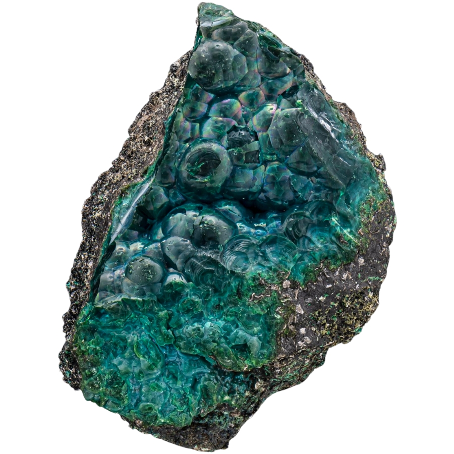 A unique blue-green chrysocolla specimen on black matrix