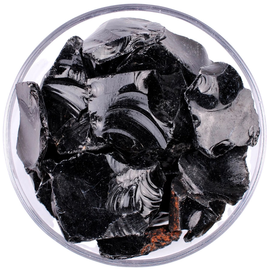 Raw pieces of shiny obsidian specimens on a petri dish