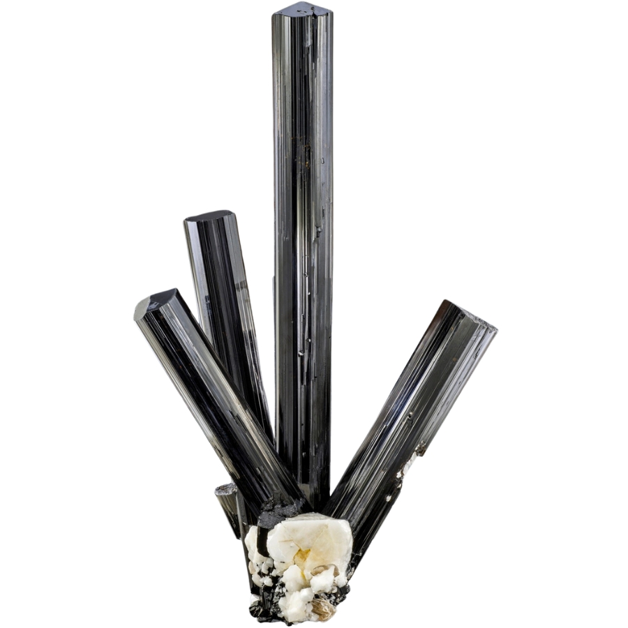 Black tourmaline crystals in perfect composition with superb luster