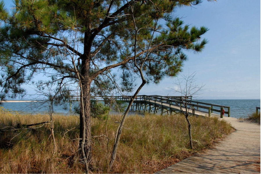 A foot bridge with an overlooking view of the beach at Flag Ponds Nature Park