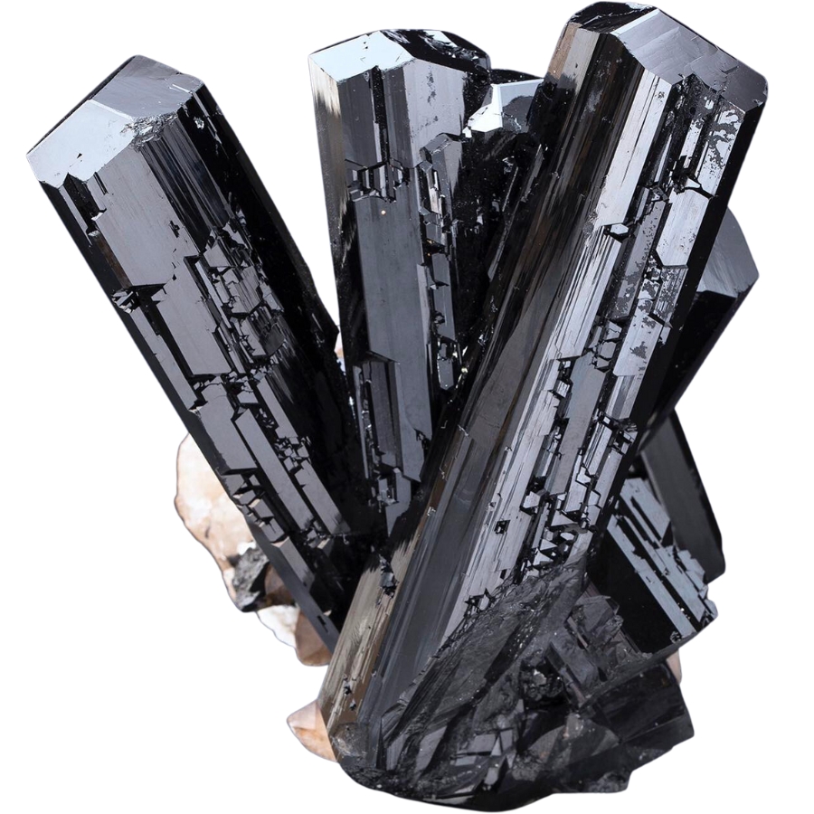 A grouping of fine black tourmaline crystals with visible matrix