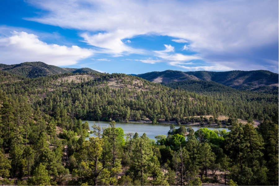 A mesmerizing picturesque aerial view of the Gila National Forest