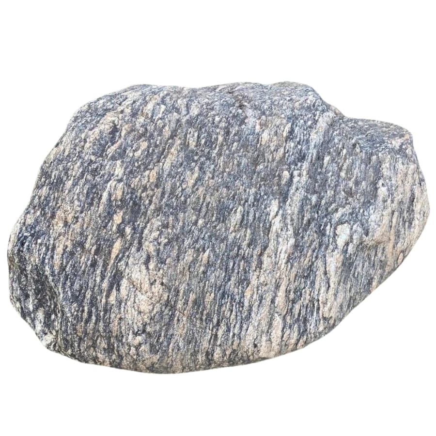 A wonderful gneiss rock with a rough surface texture