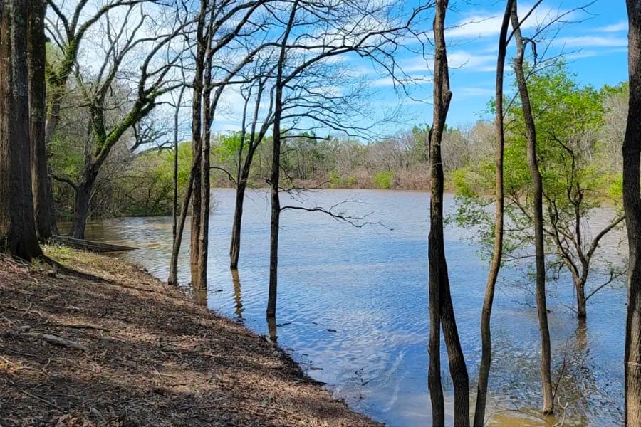 A look at a river in Harrisonburg