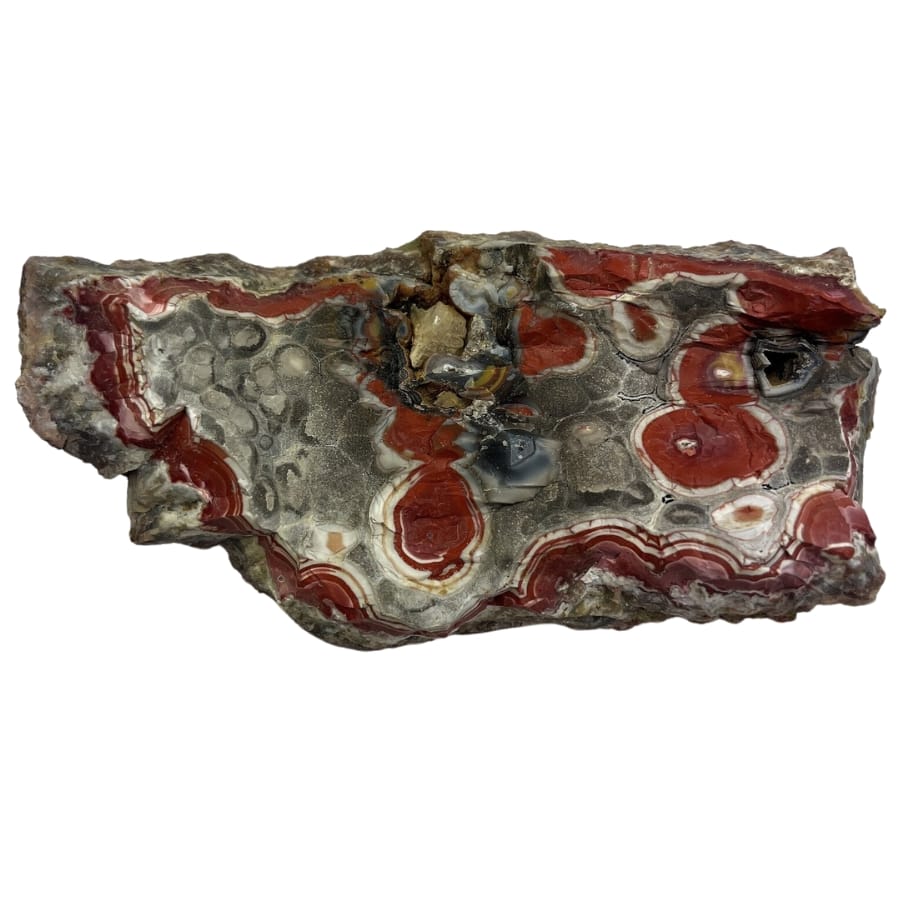 A beautiful Kentucky Agate with red spots and different neutral hues