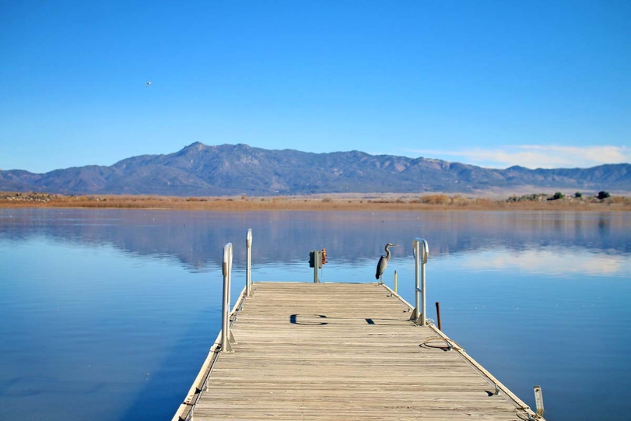 A perfect and serene view of Lake Henshaw