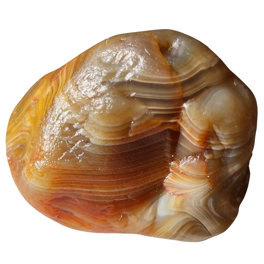 A beautiful lake superior agate with lovely banded swirls