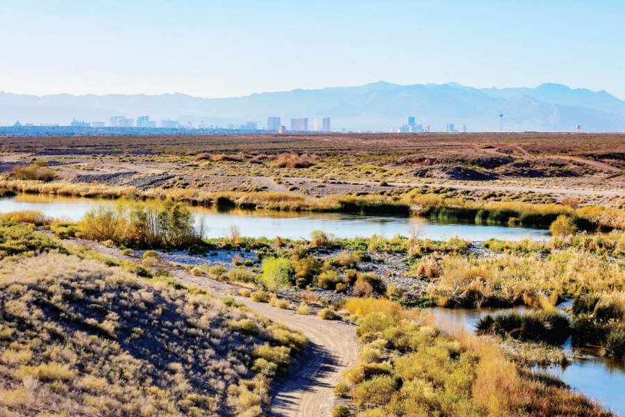 A beautiful landscape of the Las Vegas Wash with soil, plants, and body of water