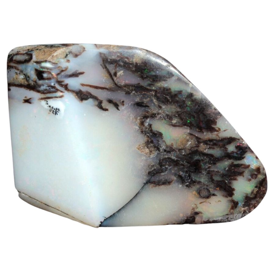 petrified opalized wood with opaque white base and play-of-color