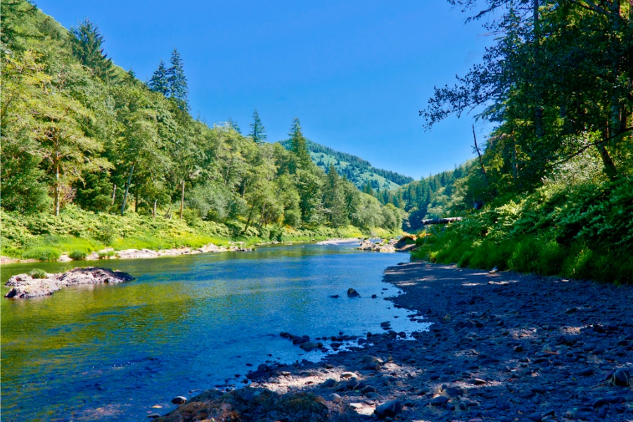A scenic view of the Nehalem River and its surrounding landscape