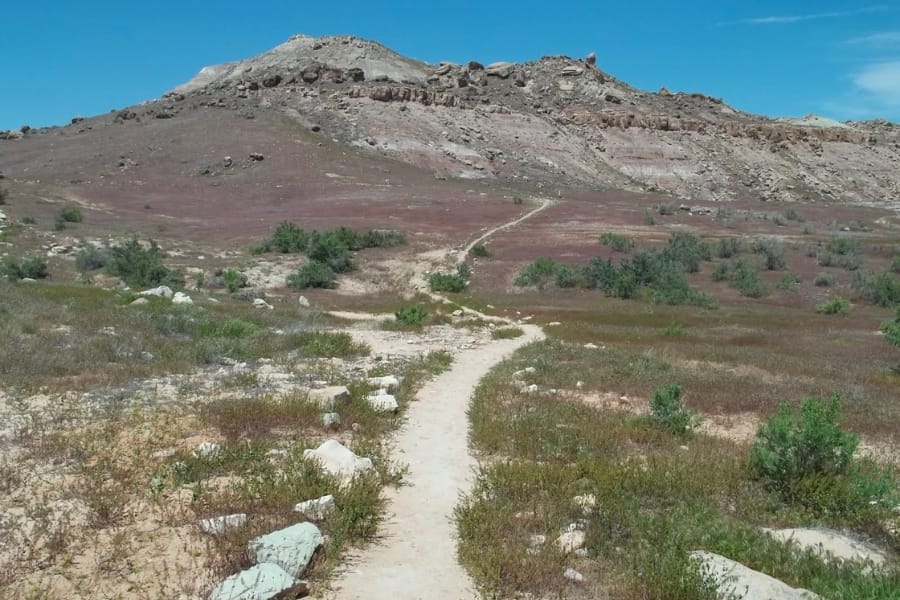 A wide view of the Opal Hill showing its rock deposits and foregrounded by thin grass