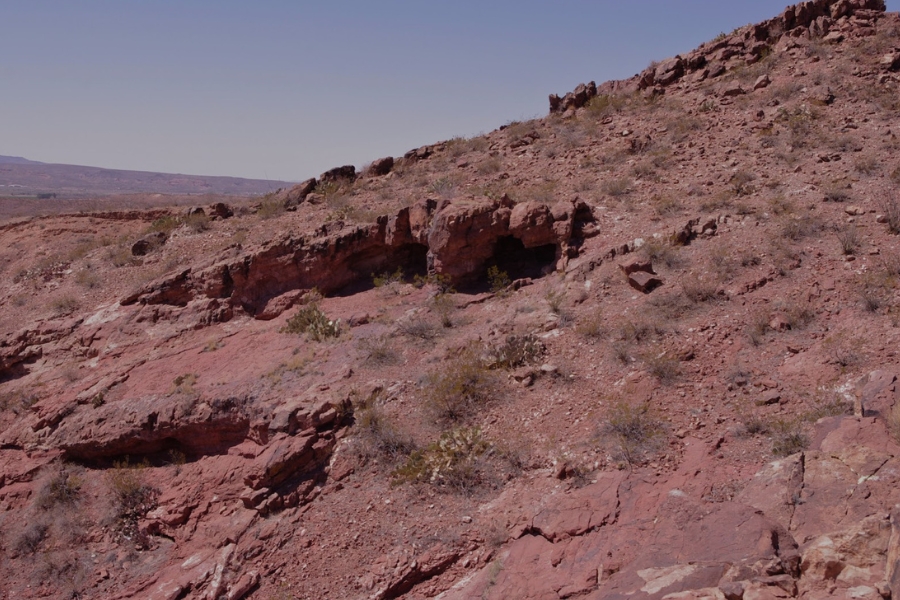 An area at Palm Park where you can find opal specimens