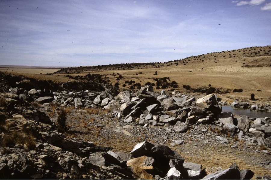 A location in New Mexico filled with rocks where you can find opal specimens