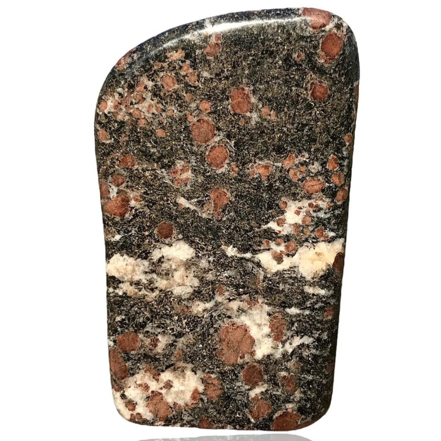 An elegant polish astrophyllite with red spots