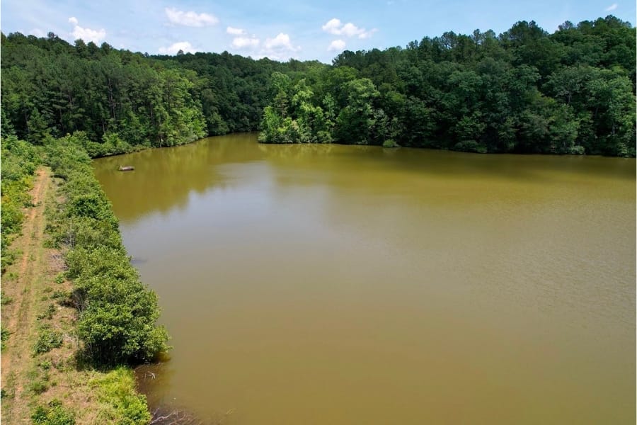 A wide body of water surrounded by trees and greeneries at Tippah County where RIpley is located