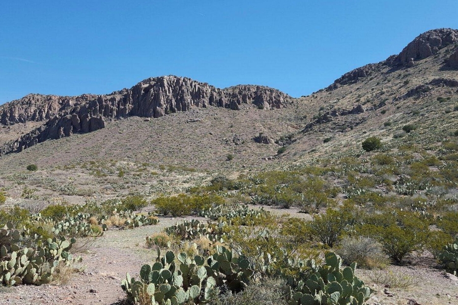 A vast landscape at the Rockhound State Park with cactus bushes 