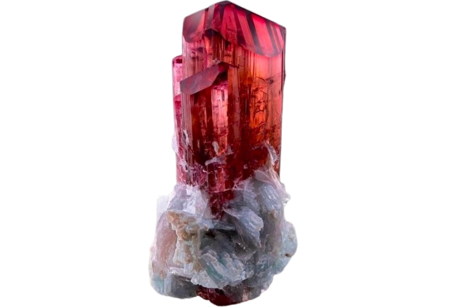 Lustrous red tourmaline crystal or rubellite on lepidolite