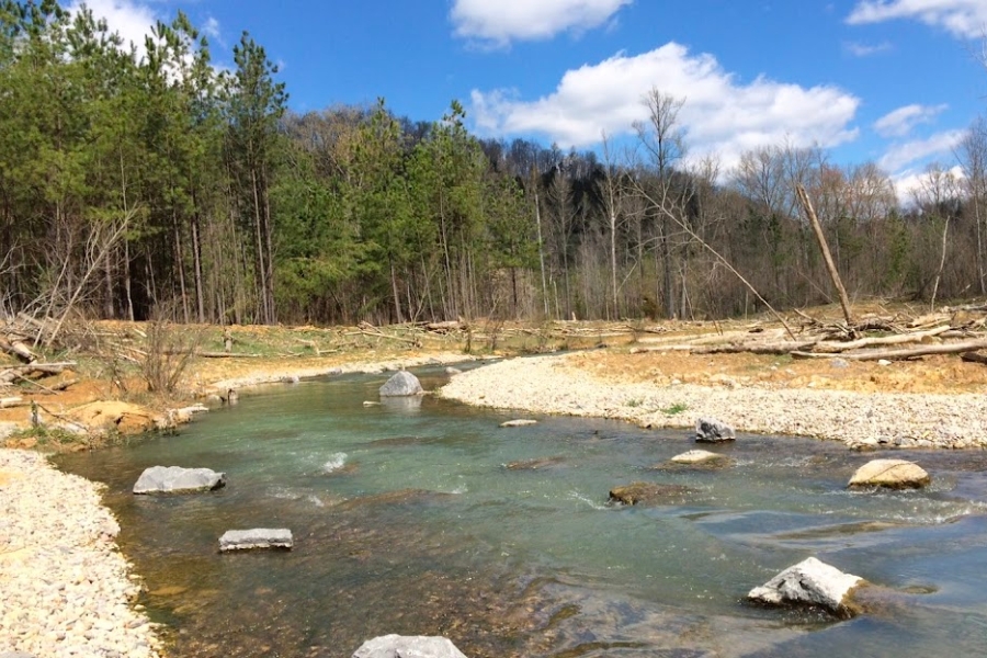 A local creek at the Russell County