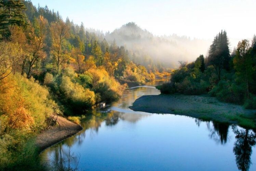 A magnificent area of the Russian River with lush vibrant trees and calm river