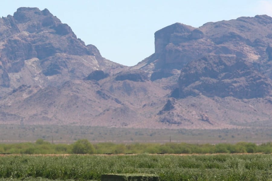 A wide look at the Saddle Mountain foregrounded by a green field