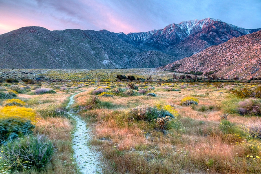 A picturesque view of grasslands and vast landscapes of San Jacinto Mountains