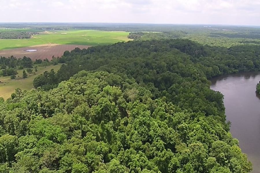 An aerial view of the Shell Bluff full of trees