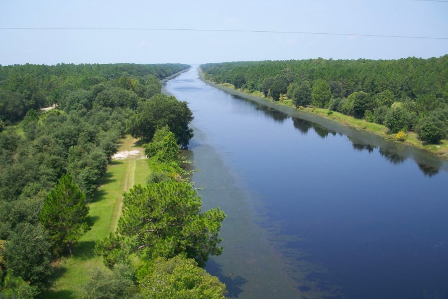 Bird's eyeview of the long stretch of St. John's River surrounded by lush forests