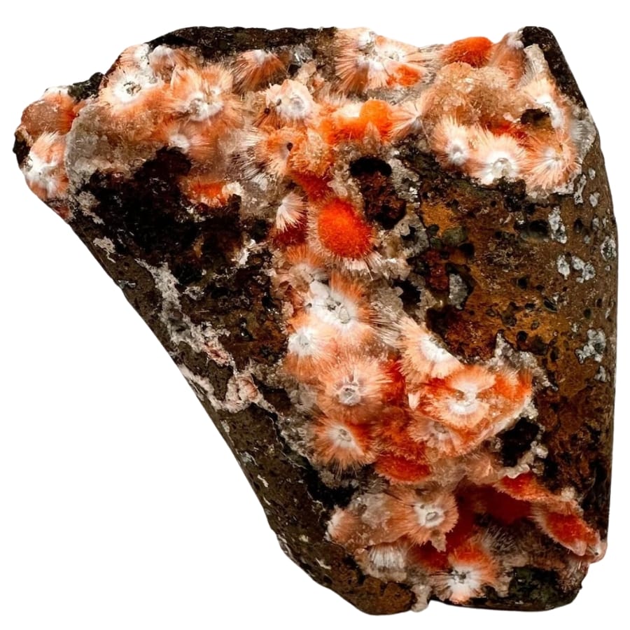 A rare and unique thomsonite specimen 