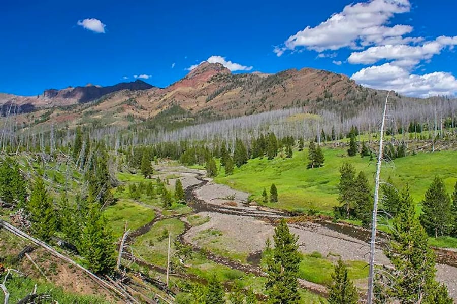 Scenic view of the Thorofare Wilderness