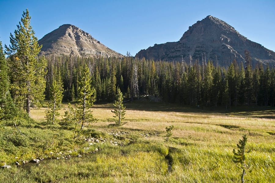 Scenic view of the Uinta Mountains foregrounded by lush fields of green