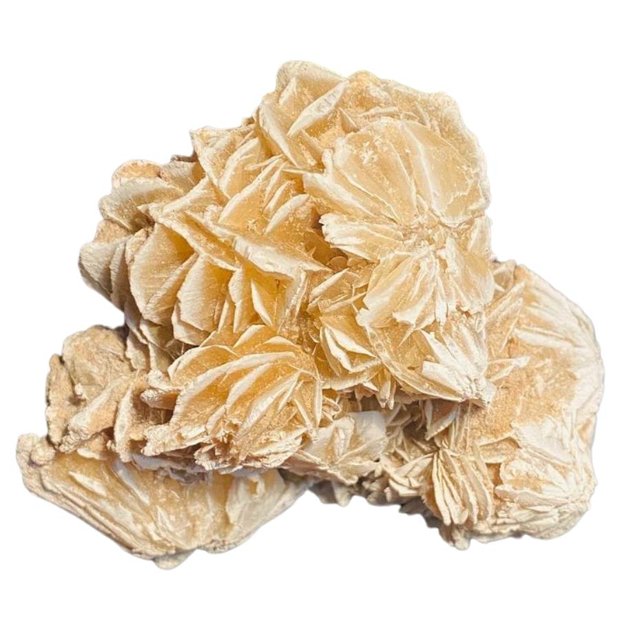 beige gypsum crystal cluster