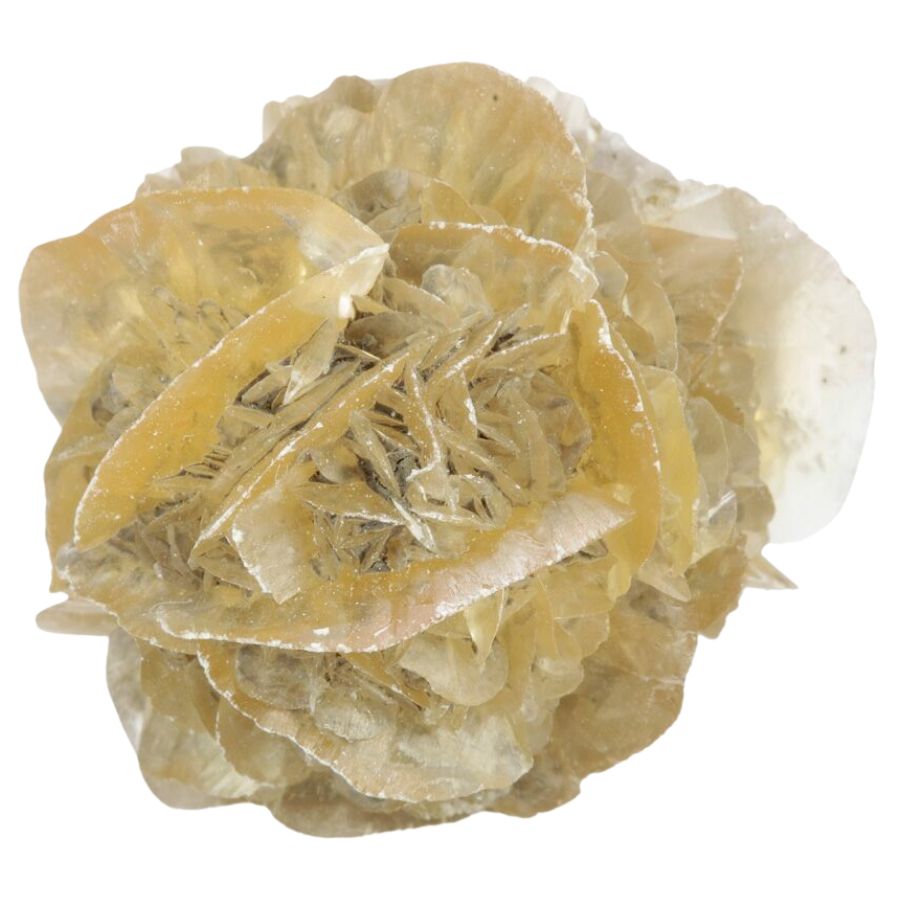 desert rose-shaped selenite crystals
