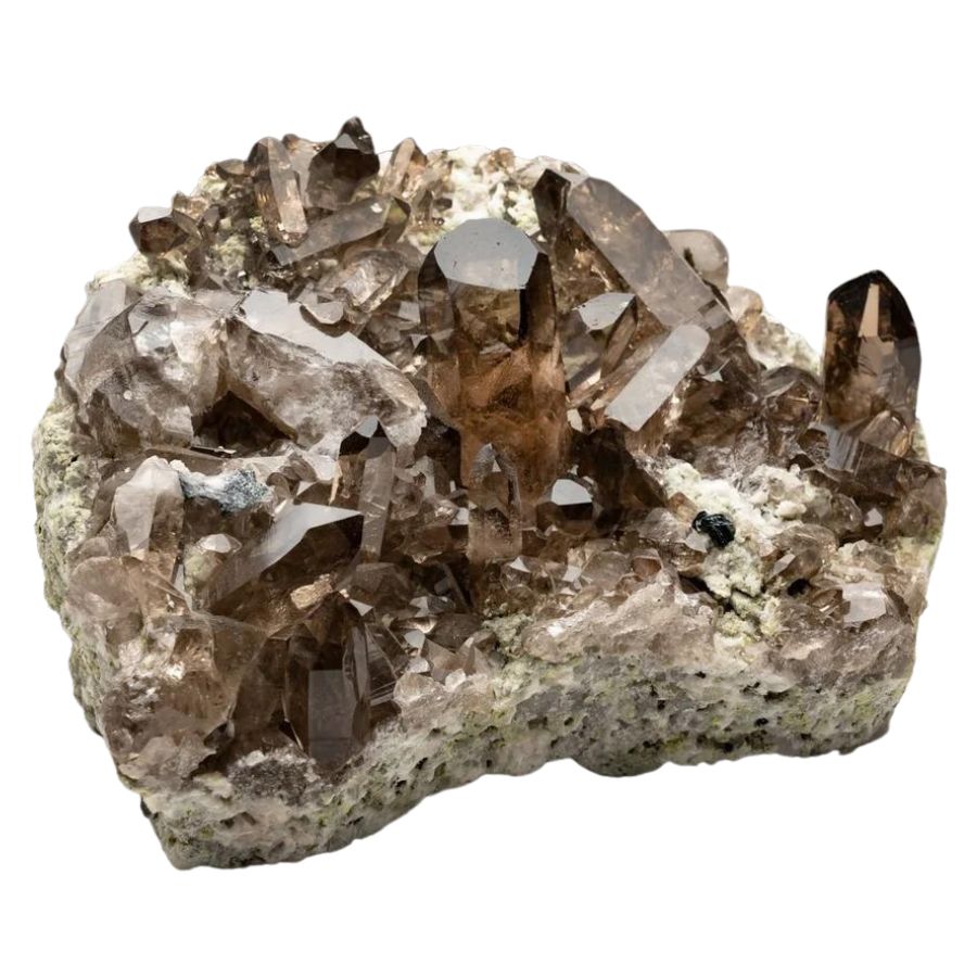 multiple brown smoky quartz crystals on a matrix