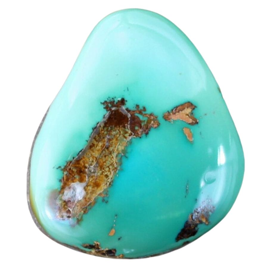 blue-green polished turquoise with brown matrix
