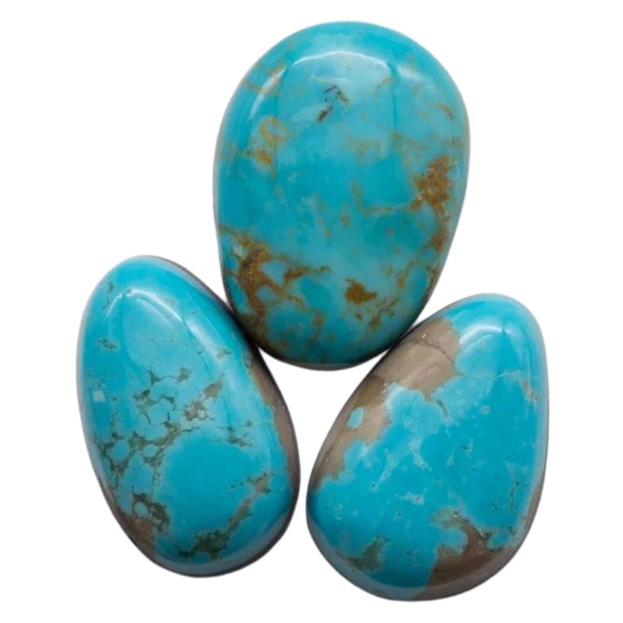 three polished blue turquoise cabochons with brown matrix