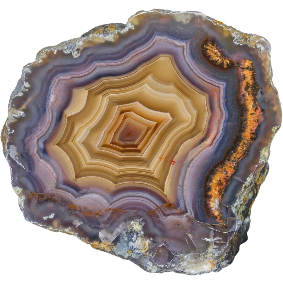 A stunning specimen of Laguna agate with colorful bands