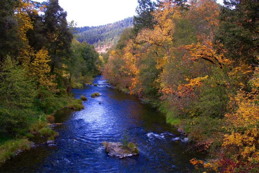 A rushing Applegate River surrounded by lush green trees